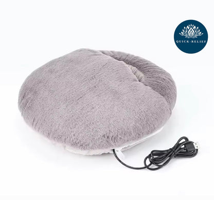 Electric foot warmer