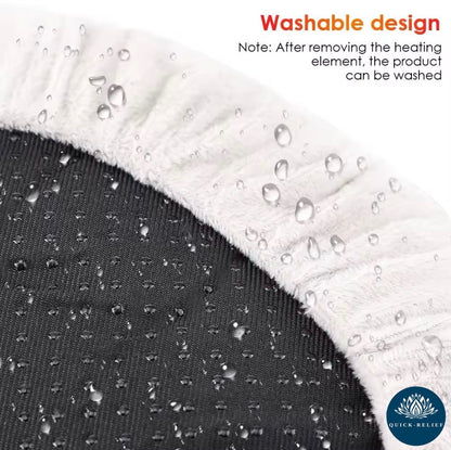 Electric foot warmer